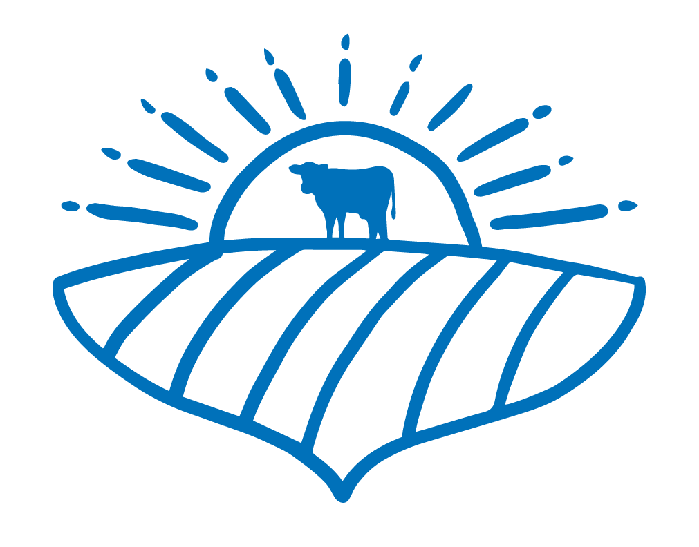 blue line art iconography of a cow in a pasture with the sun rising behind it