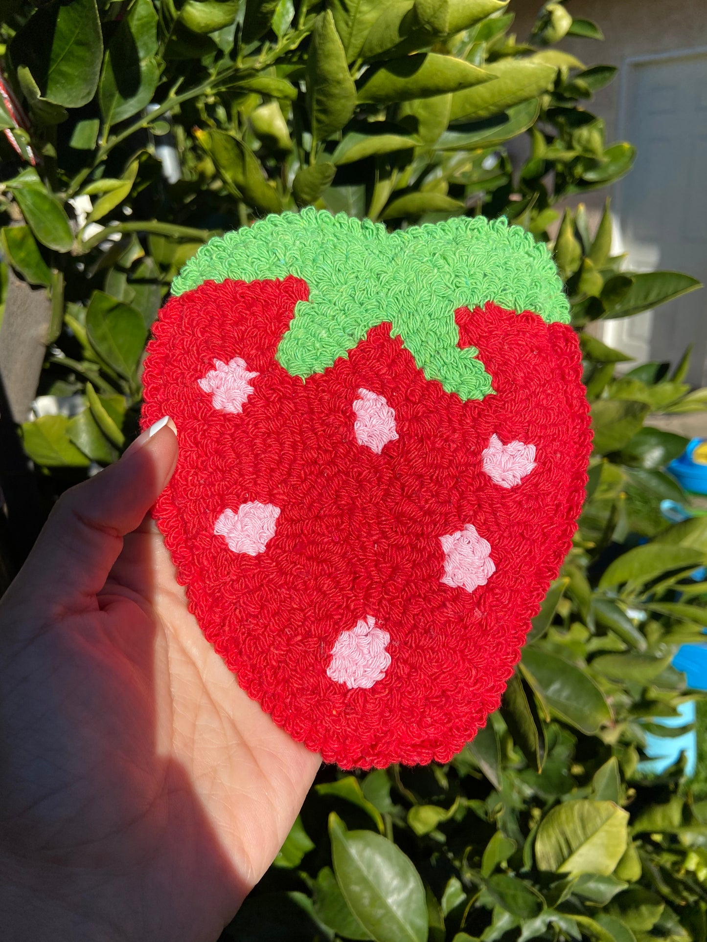 Strawberry Rug Coaster